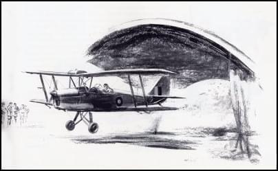 Tiger Moth
